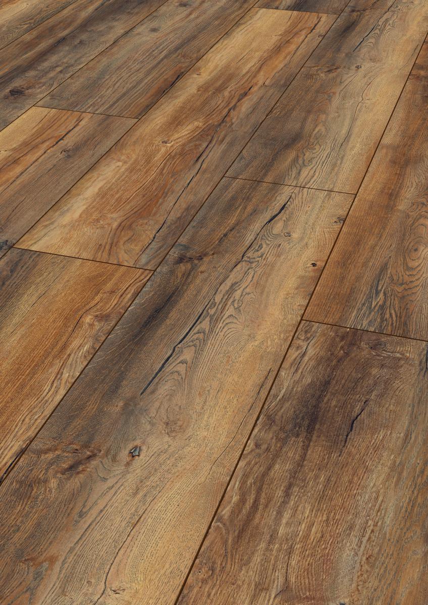 Harbour Oak