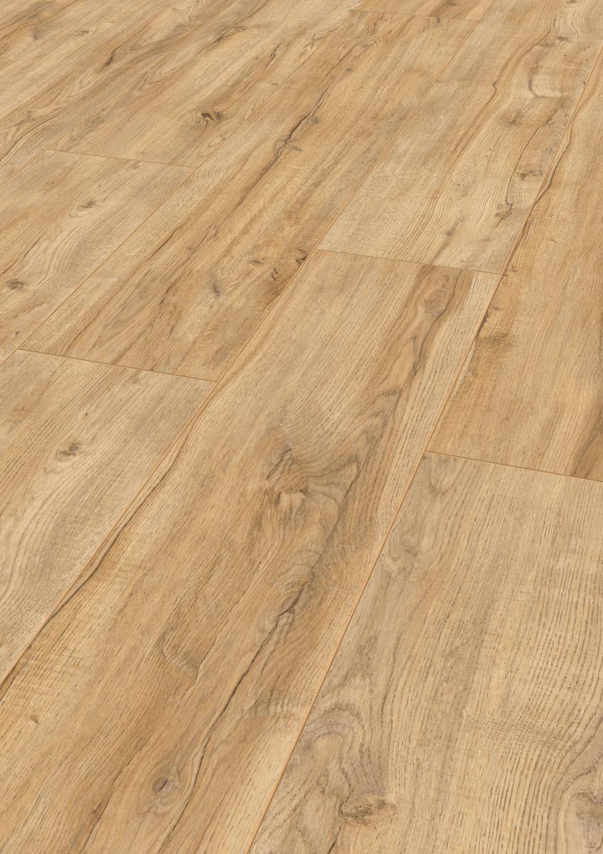 Montmelo Oak Nature