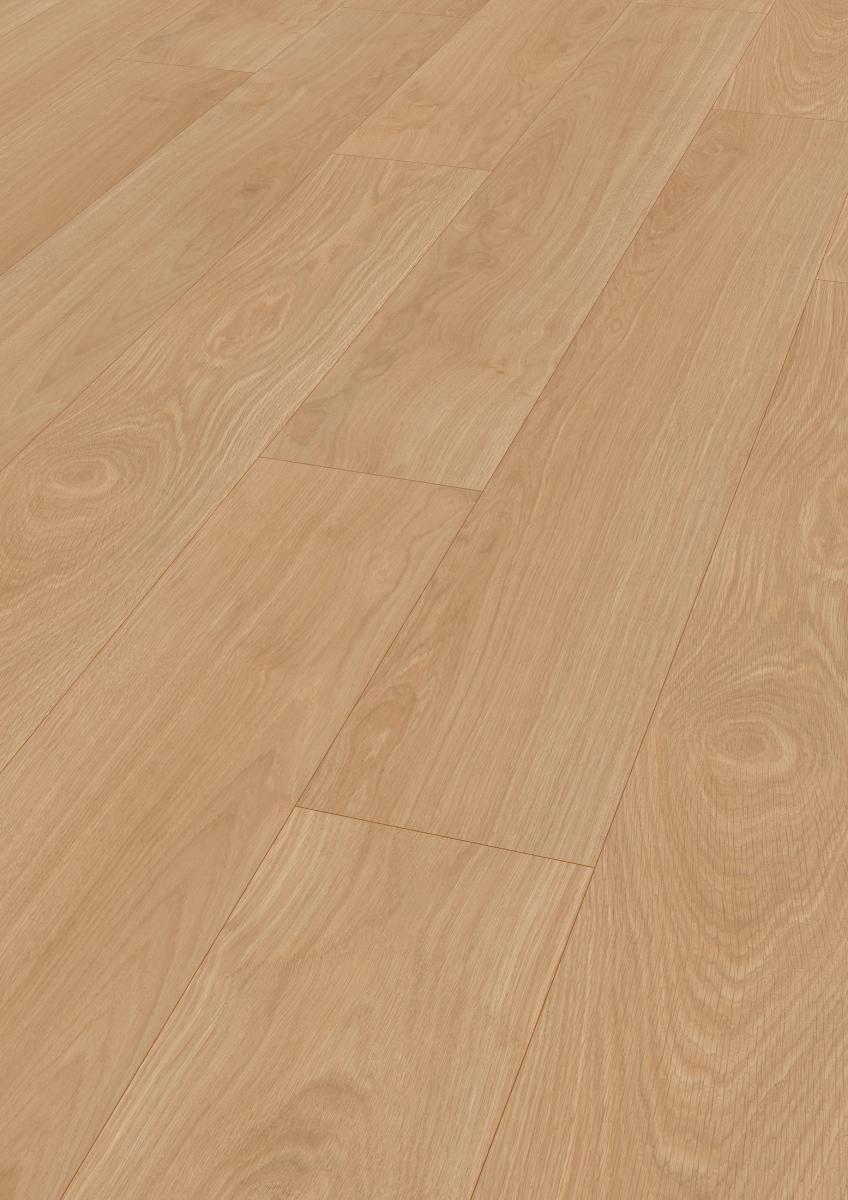 Waveless Oak Nature